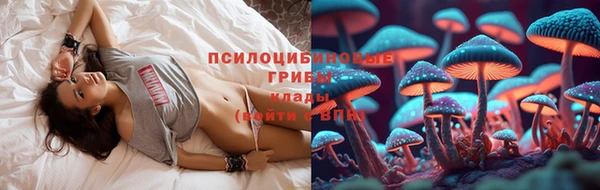 гидра Белокуриха
