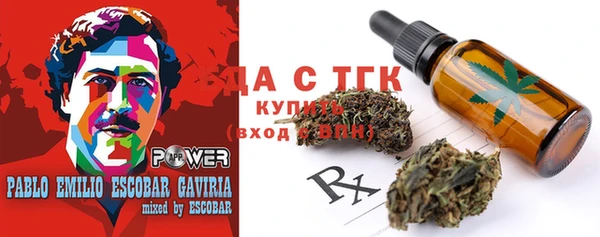 дмт Богородицк