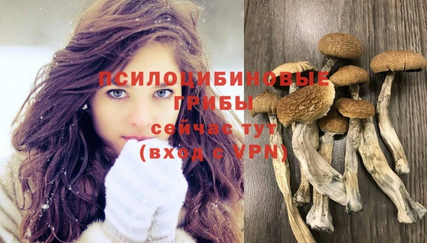 дмт Богородицк